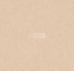 Линолеум Forbo Modul'up compact material 223UP43C sand canyon фото 1 | FLOORDEALER